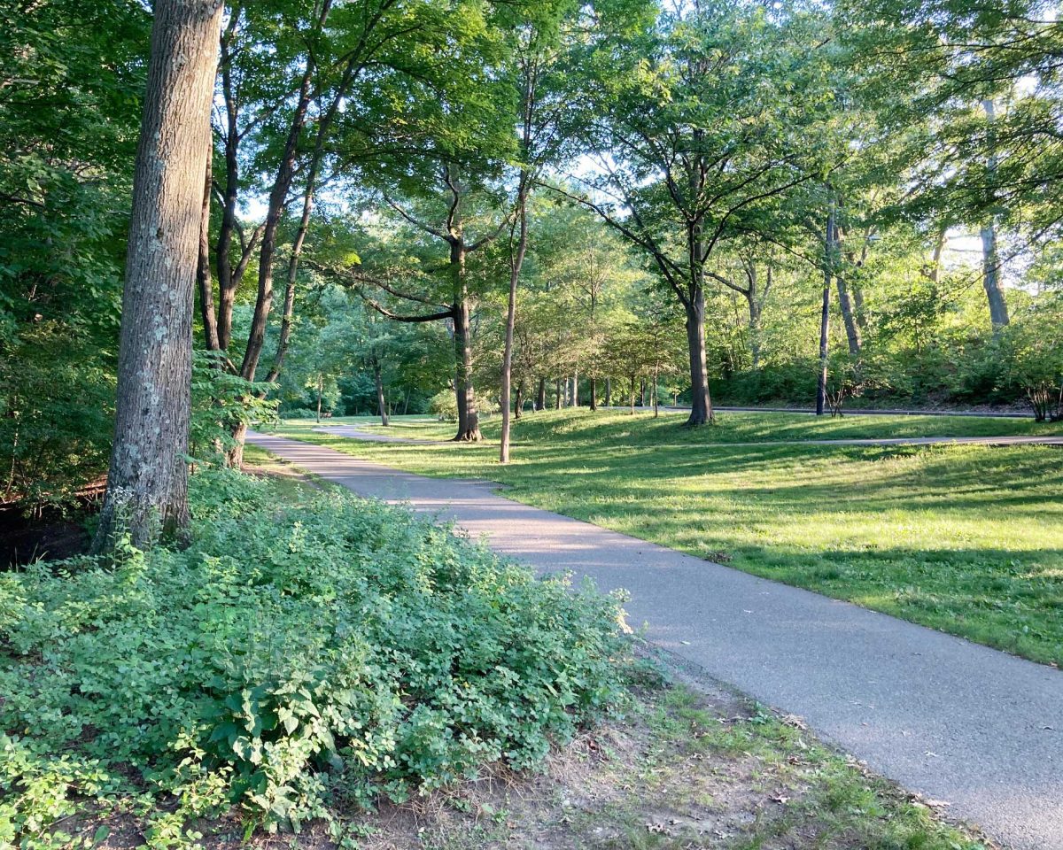 Boston Running Routes Find Best Running Paths in Boston Urbnparks