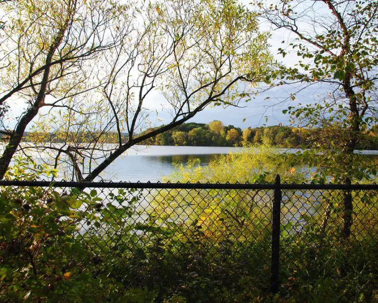 Fresh Pond Reservation in Cambridge, MA Plan Your Trip Urbnparks
