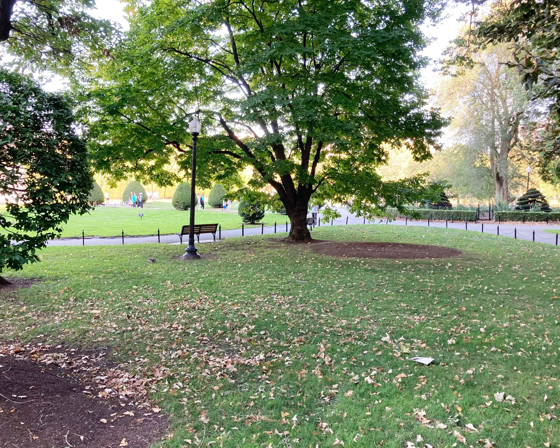Boston Public Garden fall