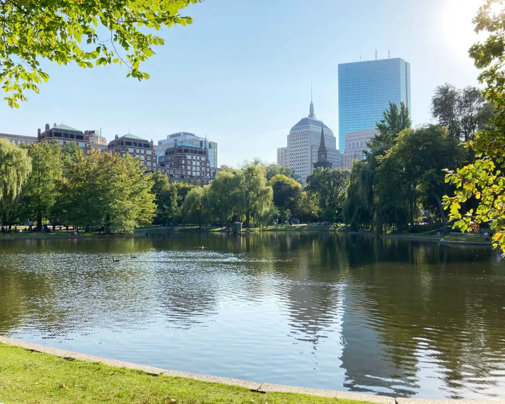 Boston public garden