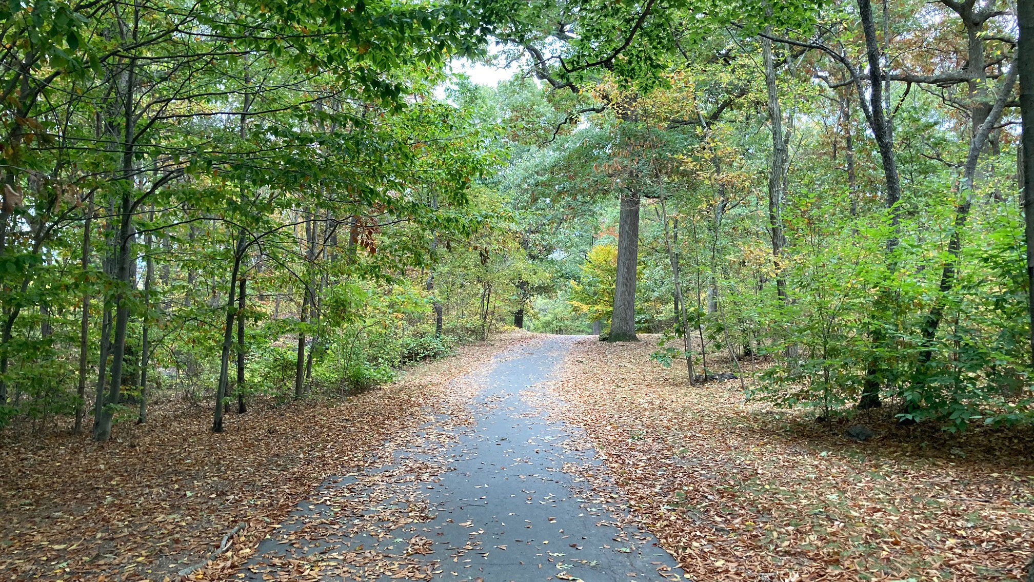 Dorchester Park in Dorchester, MA Plan Your Next Trip