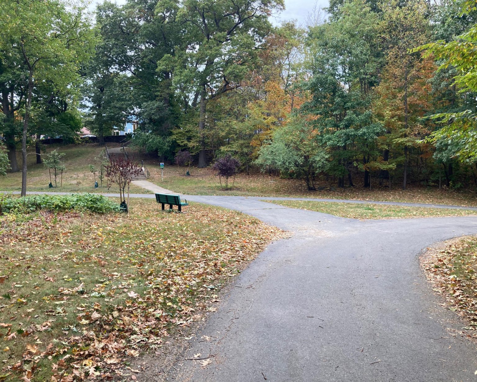 Dorchester Park in Dorchester, MA Plan Your Next Trip