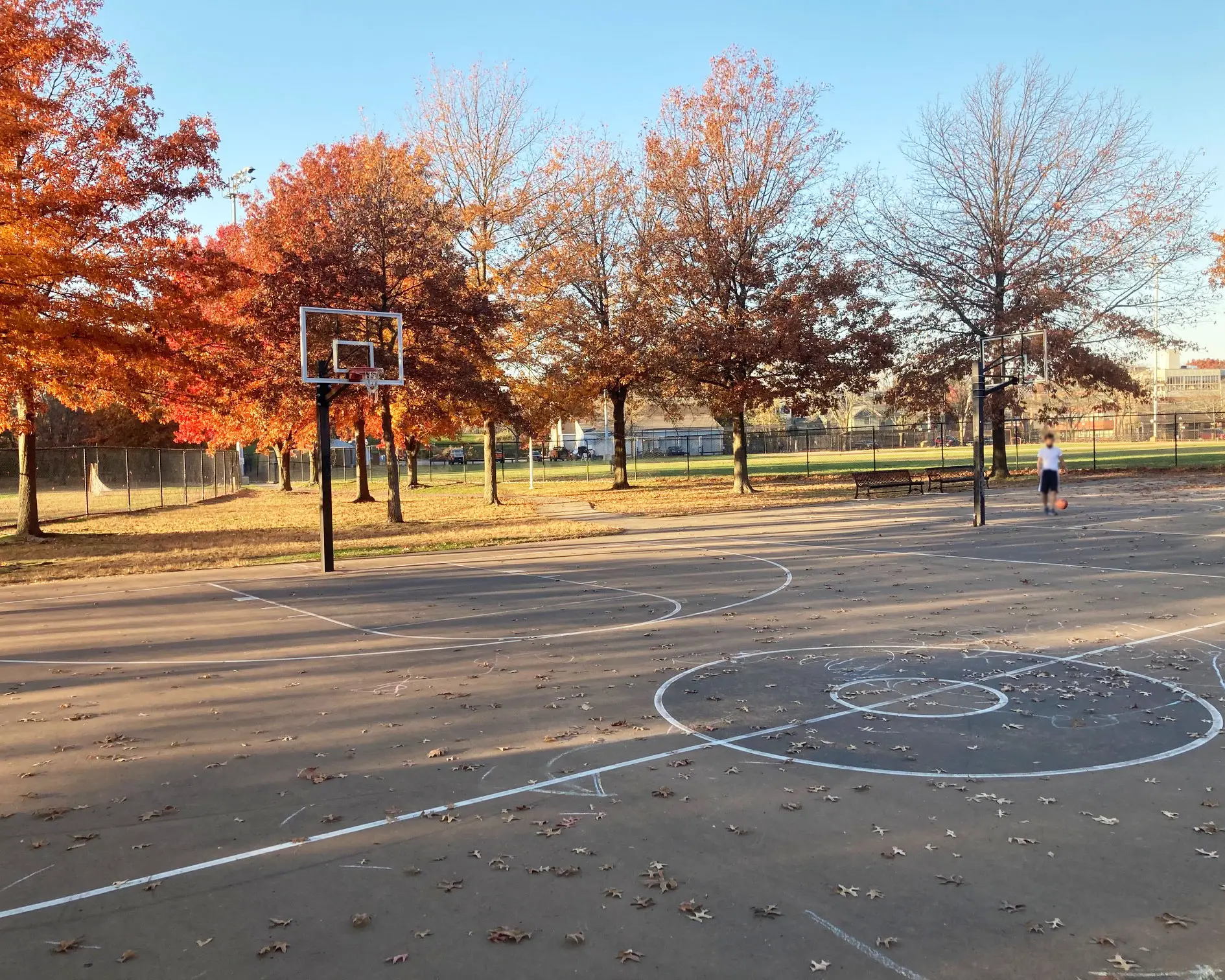 danehy park basketball courts