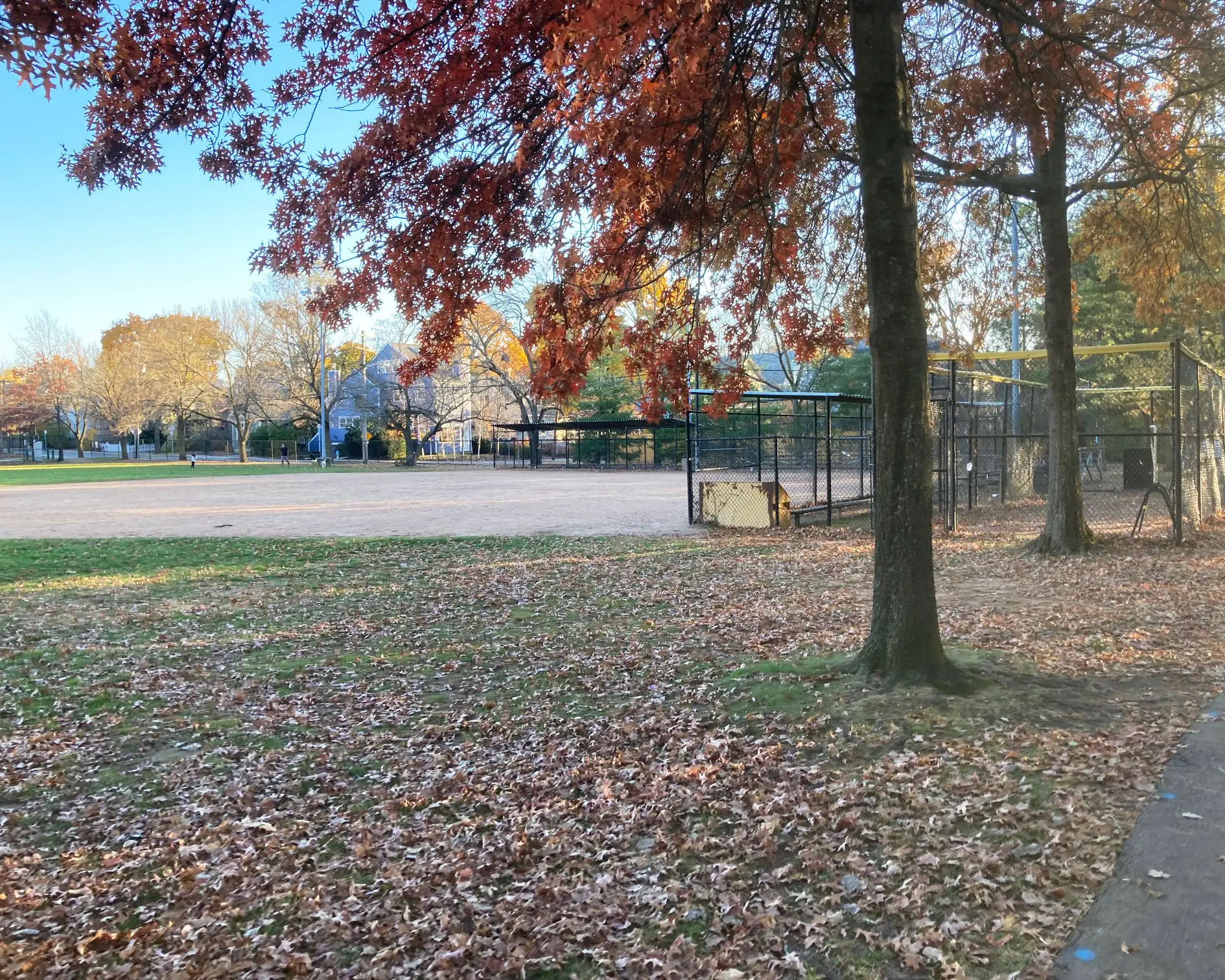 danehy park softball cages