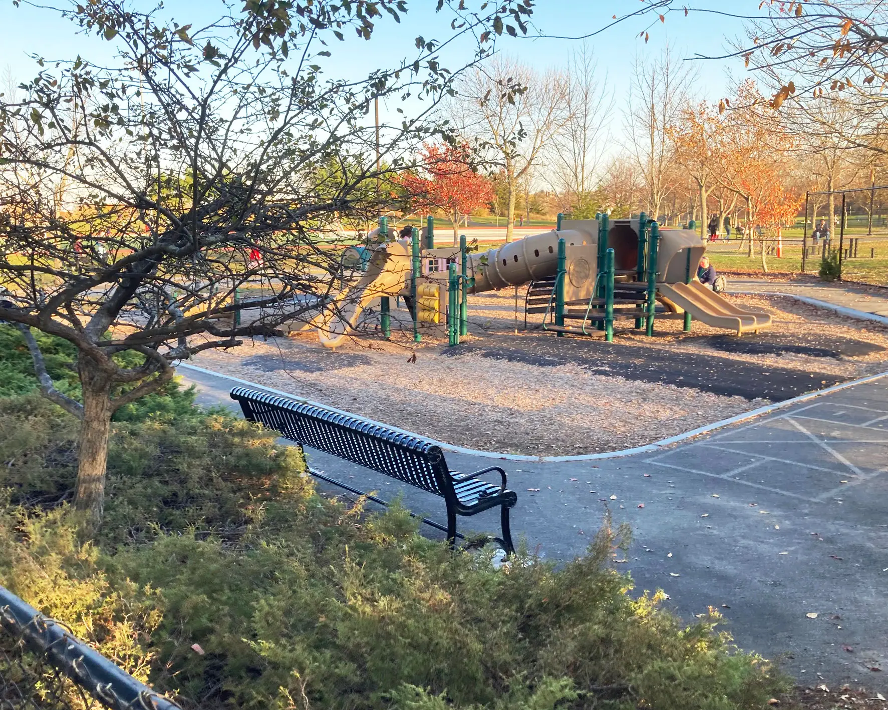 danehy park playground