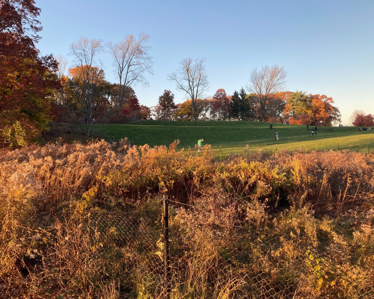 Fresh Pond Reservation in Cambridge, MA Plan Your Trip Urbnparks