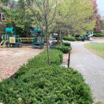 Murphy Playground (Brookline)