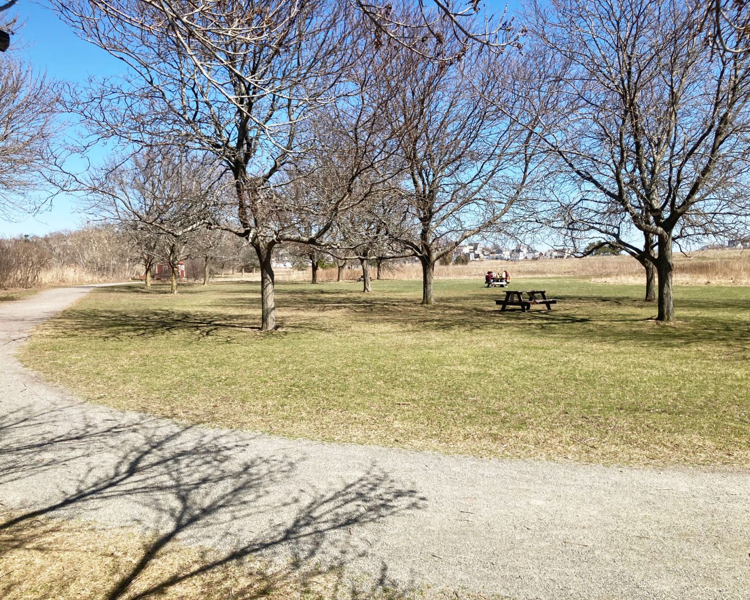 Belle Isle Marsh Reservation In East Boston, MA: Plan A Trip ...