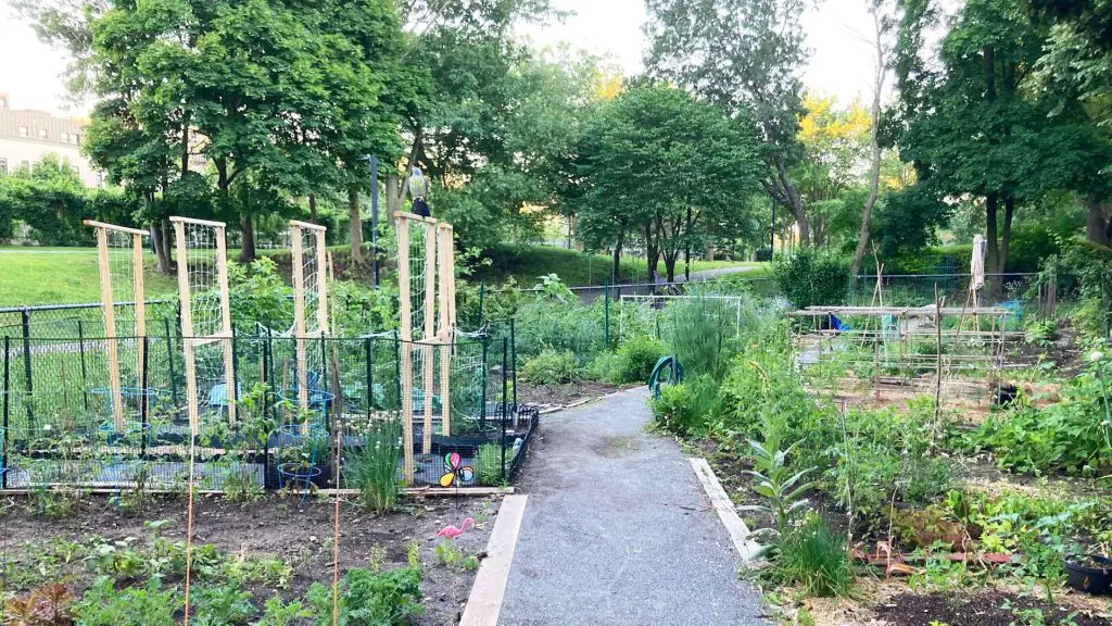 community gardens boston
