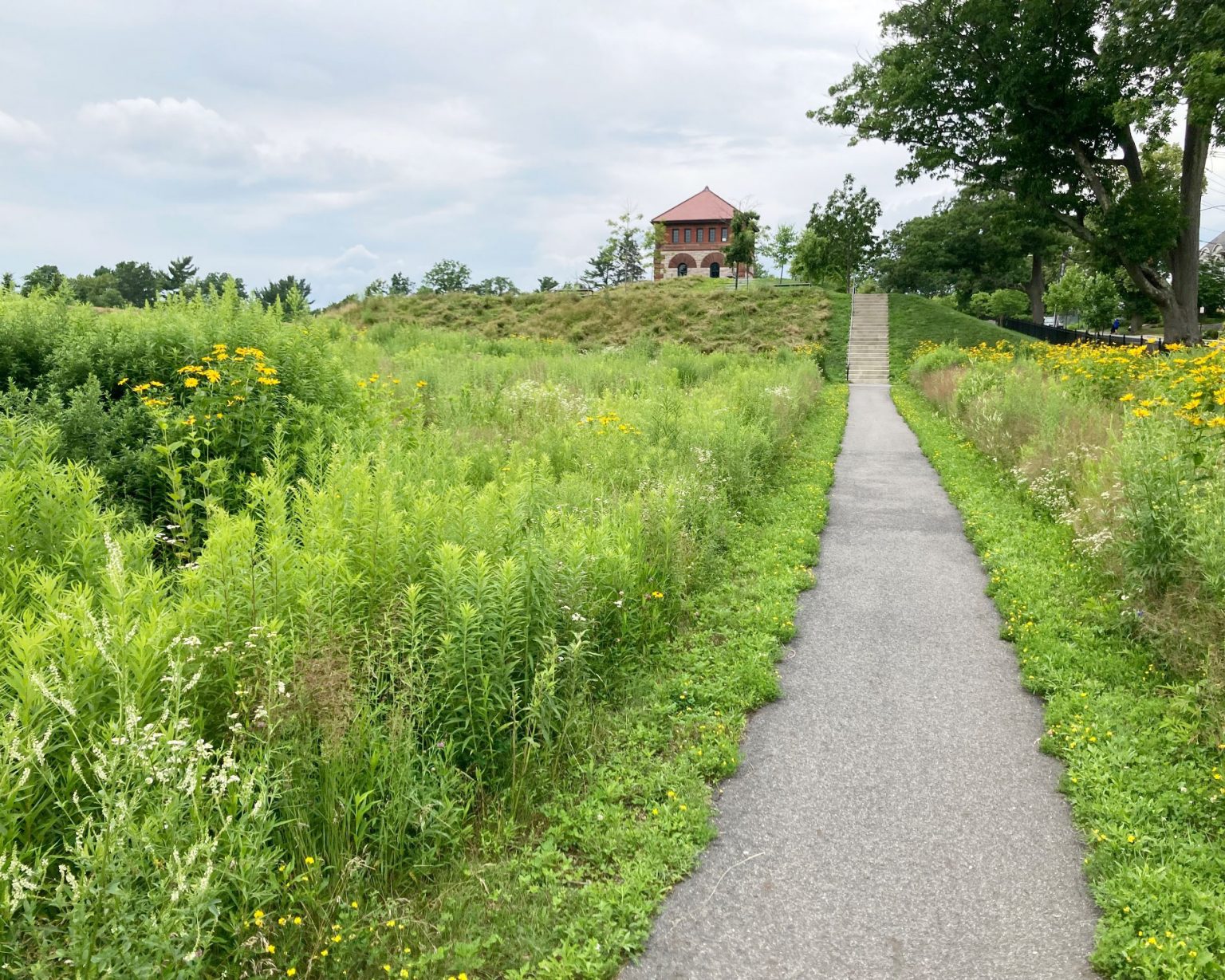 Fisher Hill Reservoir Park in Brookline, MA Plan a Trip