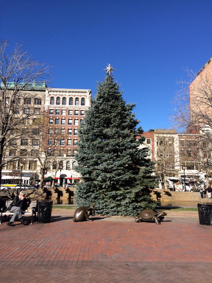 Read more about the article Tree Lighting @ Copley Square