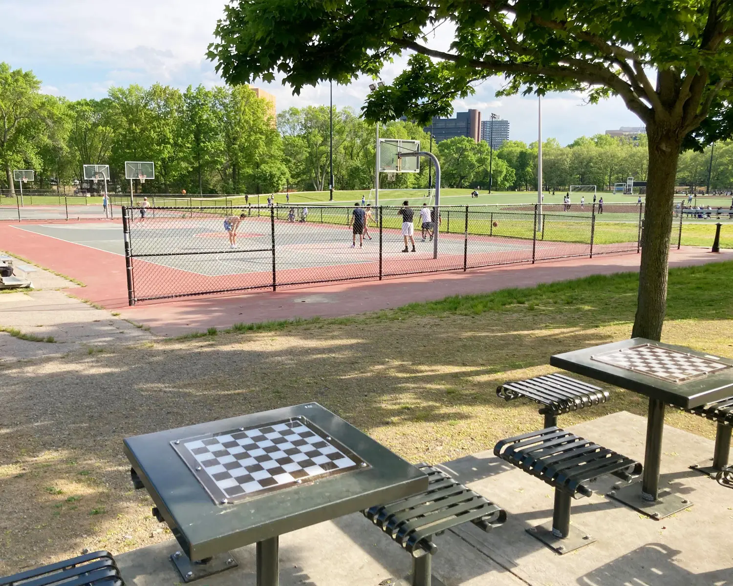 back bay fens chess tables