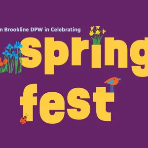BrooklineSpringFest