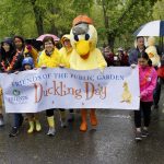 Duckling Day @ Boston Common