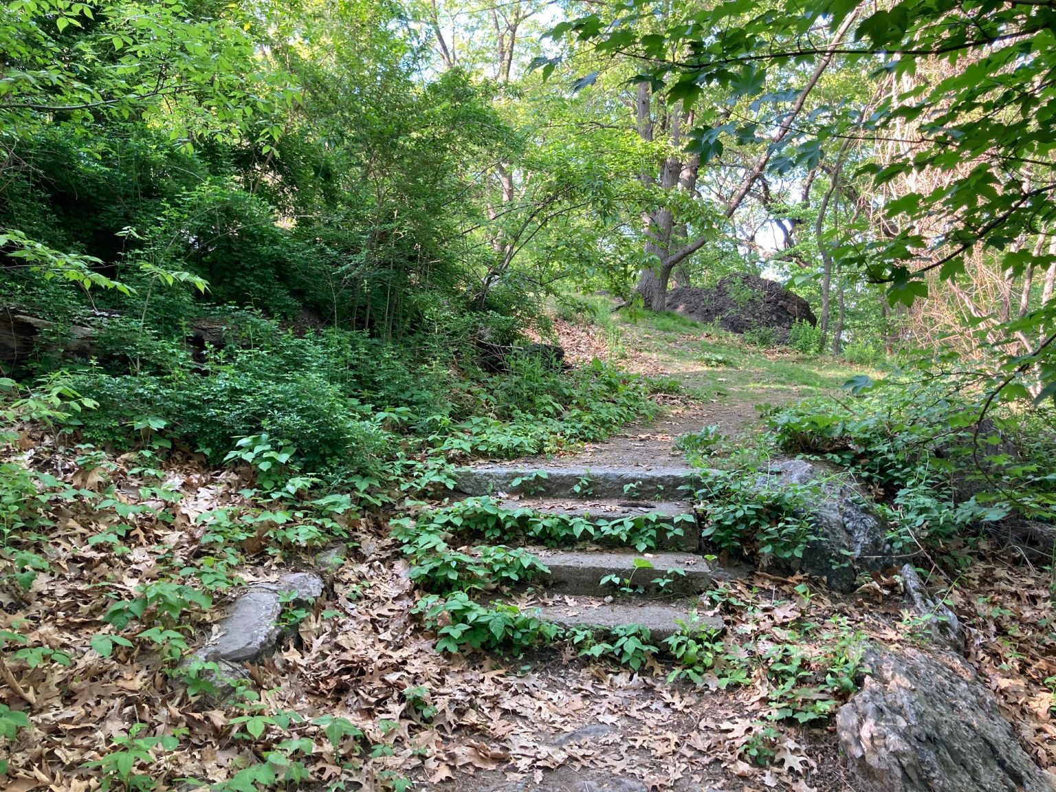 Savin Hill Park, in Dorchester, MA Plan Your Next Trip