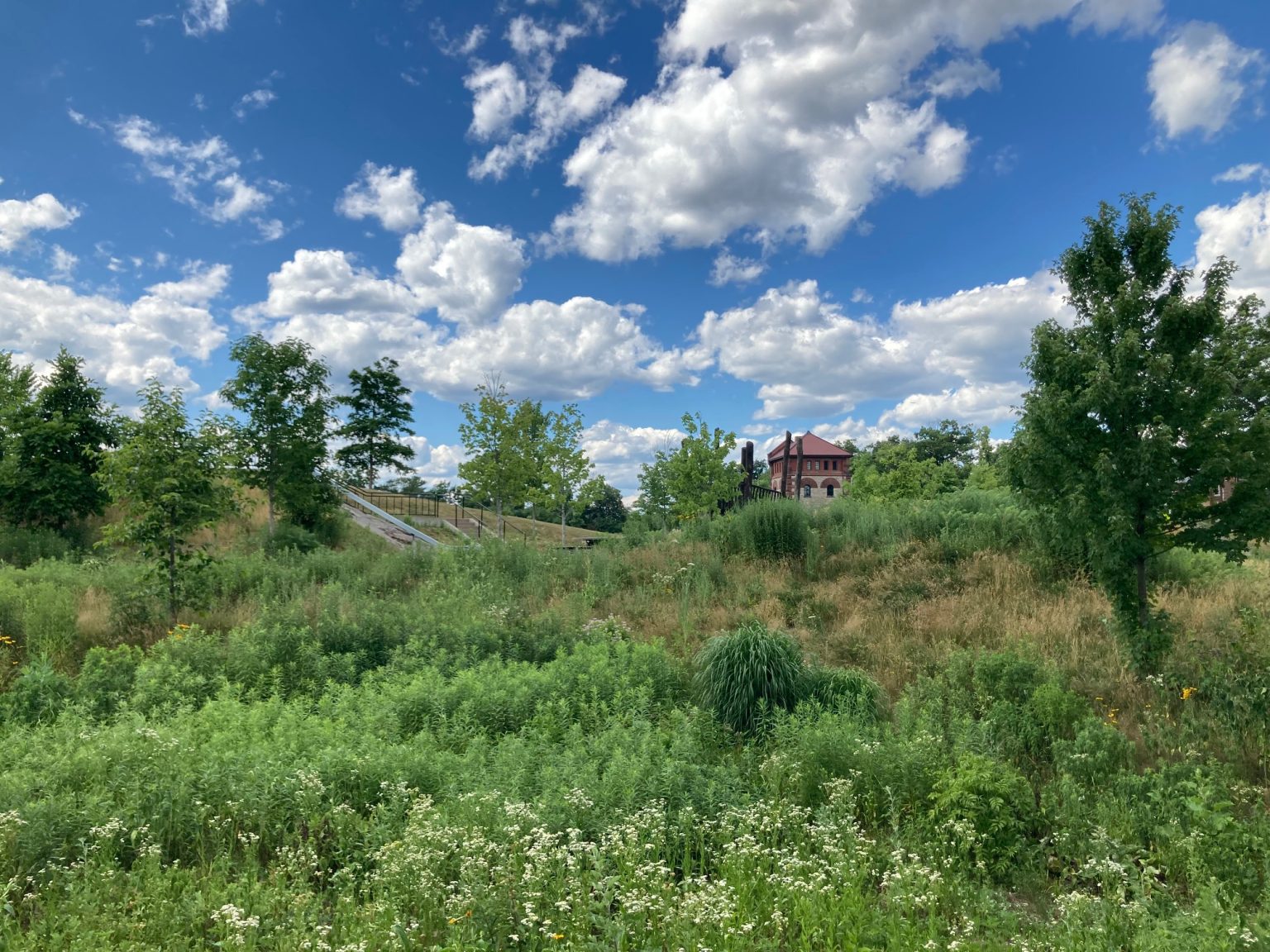 Fisher Hill Reservoir Park in Brookline, MA Plan a Trip