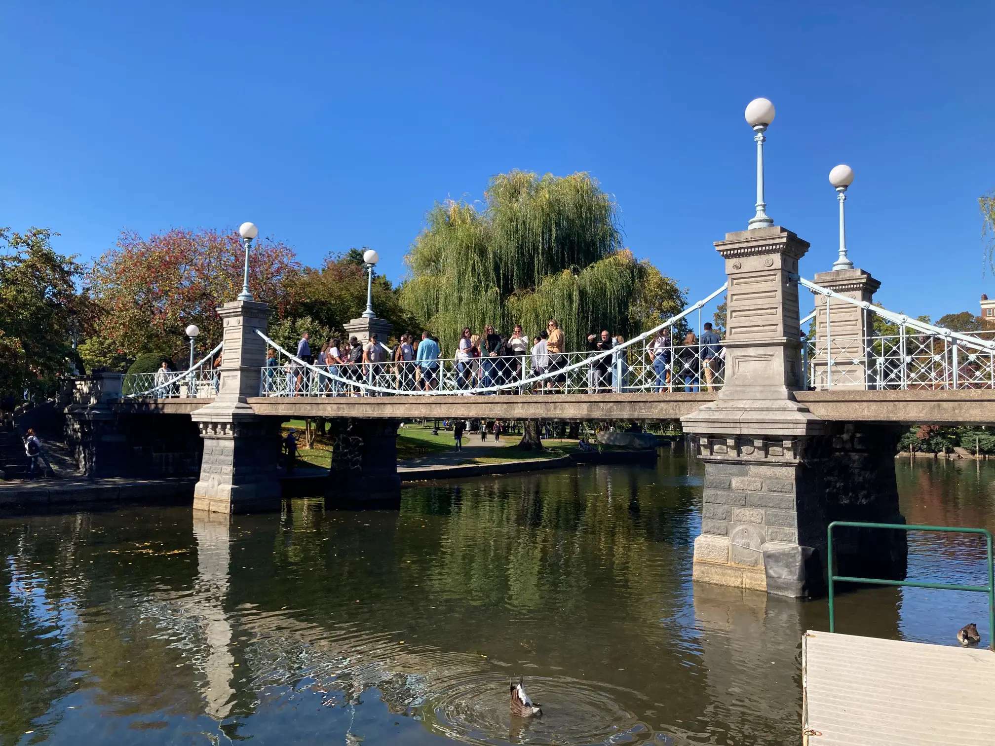 boston public garden suspension bridge