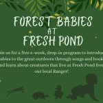 Forest Babies at Fresh Pond